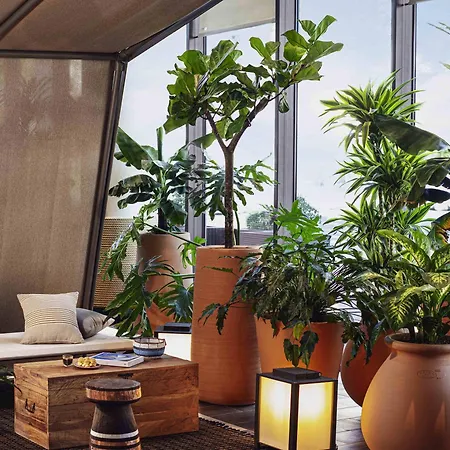 Novotel Porte Versailles 4*